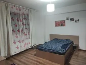 Center CT, 5min to Neversea - Viile-Noui