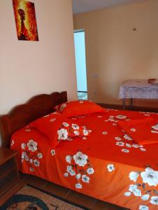 Casa Doina