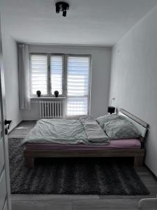 Apartament 33