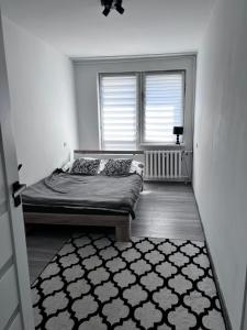 Apartament 33