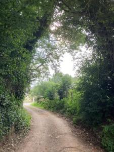 Maisons de vacances Breton stone cottage with a garden near the river : photos des chambres