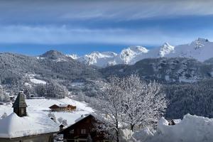 Chalets La Ferme de Mila - OVO Network : photos des chambres