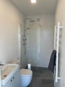 Vėtrungės apartamentai III