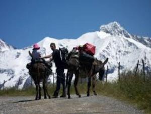 Chalets Chalet moderne et neuf : photos des chambres