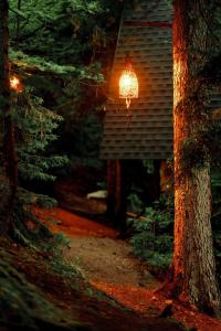 Cottage Galileo in Abastumani