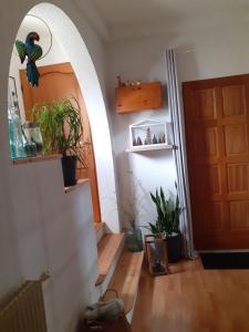 B&B / Chambres d'hotes Au Bosquet, chambre et salle de bains avec petit dejeuner a 600 m du centre dans un cadre calme et verdoyant : photos des chambres