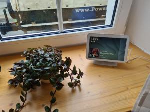 Rosenzauber Kraxler Pärchen