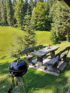 Brunarica na Goreljeku, Pokljuka