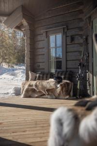 Fjällparadiset Lindvallen