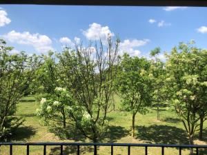 suite with terrace and loft with garden in Milan naviglio pavese