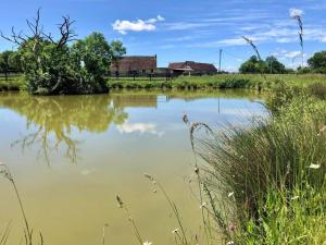 Logement au coeur dun haras avec accès à létang