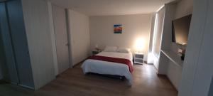 SPECTACULAR APARTMENT IN THE HISTORICAL CENTER OF BOGOTA - 105