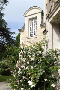 B&B / Chambres d'hotes Chateau du Bois de La Noe : photos des chambres