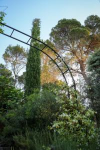 Maisons de vacances Gites de la Villa Pergola : photos des chambres