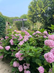 Maisons de vacances Gite Le Meynet : photos des chambres