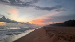 raison dêtre - The Residential Library