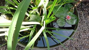 Appartements Garden Duplex : photos des chambres