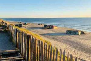 Chalets Tiny House dans les bois a 10 minutes de l'ocean : photos des chambres