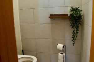 Elephants Apartments