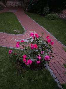 Unterkunft direkt an der Schelfkirche
