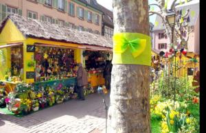 Maisons de vacances Le gite de Vitazensel : photos des chambres