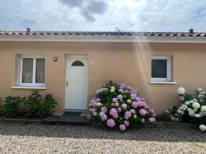 Maisons de vacances T2 de 40m2 a 100m des thermes(3) : photos des chambres