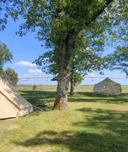 Tentes de luxe Camping a la ferme : photos des chambres