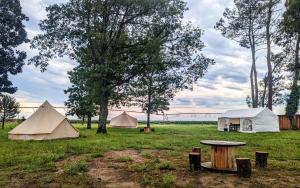 Tentes de luxe Camping a la ferme : photos des chambres