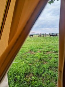 Tentes de luxe Camping a la ferme : photos des chambres