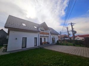 Floare de Colt Sapanta