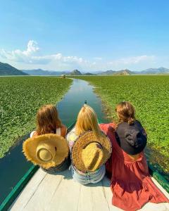 Apartments FLORA and boat cruising