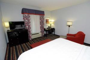 King Room with King Bed - Non-Smoking room in Hampton Inn & Suites Albany at Albany Mall