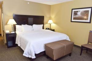 King Room with King Bed - Non-Smoking room in Hampton Inn & Suites Alexandria