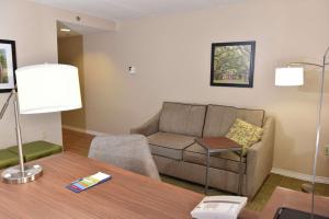 King Studio with Sofa Bed - Non-Smoking room in Hampton Inn & Suites Alexandria