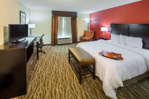 King Room with Accessible Tub - Mobility and Hearing Access/Non-Smoking room in Hampton Inn Augusta/Gordon Highway