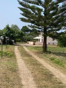 MIQUEL FORT - CASINA DI CAMPAGNA - Casa Linari