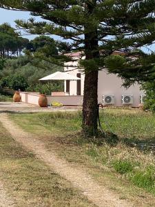 MIQUEL FORT - CASINA DI CAMPAGNA img10