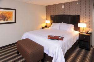 King Room with King Bed - Non-Smoking room in Hampton Inn Neptune