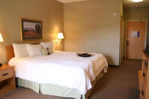 King Room with King Bed - Non-Smoking room in Hampton Inn & Suites Kalamazoo-Oshtemo