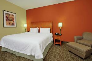 King Room with Roll-In Shower - Mobility and Hearing Access/Non-Smoking room in Hampton Inn & Suites Buffalo