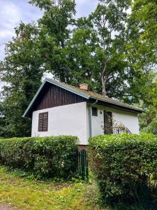 Varljivo leto, Fruska gora