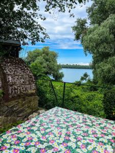 Varljivo leto, Fruska gora