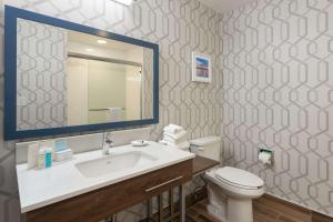 King Room - Mobility Access/Non-Smoking room in Hampton Inn Buffalo-South/I-90