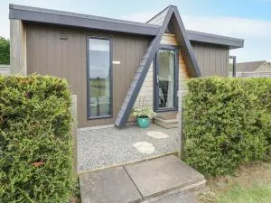 Alstroemeria - Evesham