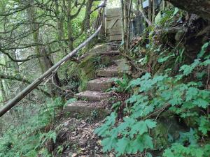 Chalets Tiny House Lapradelle-Puilaurens : photos des chambres