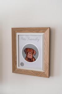 Le Provençal de COUP DE COEUR APPARTEMENTS