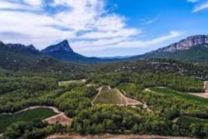 Villas VILLA AU COEUR DE L'HERAULT AVEC PISCINE ET SAUNA : Villa
