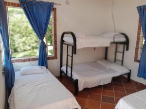 RICHYSTORE and Luna Nueva Summer House