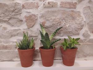 Apartments with WiFi Zadar - 21515