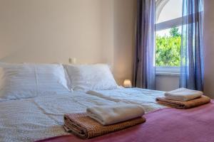 Apartments by the sea Vir - Kozjak, Vir - 21540